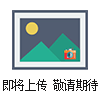 PSL202PSL202 Z大行程50mm PSL-202ma-amt執(zhí)行器